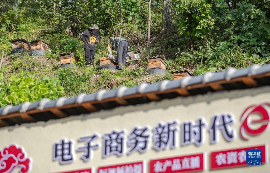 网上现金盘